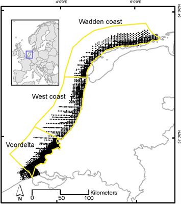 Spatio-temporal analysis of potential factors explaining fluctuations in population size of Spisula subtruncata in the Dutch North Sea